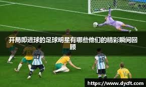 王者荣耀职业选手英雄池统计