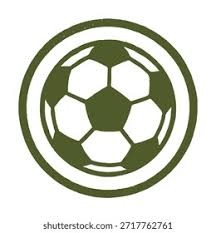 意甲-苏莱破门 国米0-1不敌罗马各项赛事3连败 [国米意甲]